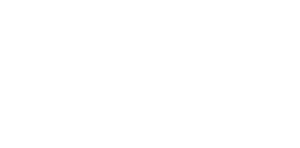 ansys