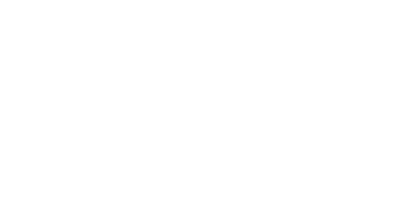 Computer Gross