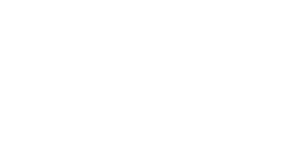 Punch Technology