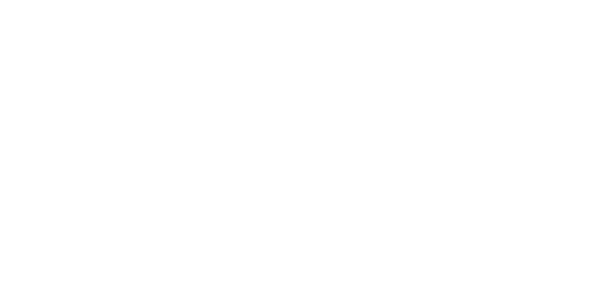 SYNAXON